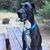 Ryan Wilber's profile image