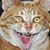 David Dahl's profile image