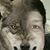 Marisol Aviles's profile image