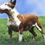terishere's profile image