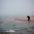 Annie Homsy's profile image