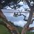 Maria Slavin's profile image