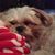 Sharon Leone's profile image