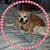 Donna Cunha Demello's profile image