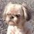 Michelle Fuller's profile image