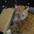 Lori Jones's profile image