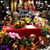 Penny Perrow Jose's profile image