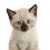 Janice Shugert's profile image
