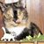 Linda S Puryear's profile image