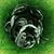 Diego Escalona's profile image
