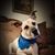 Lane Gilreath's profile image