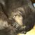 Wendy Fosburg's profile image