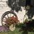 Molly Davisson's profile image