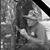Michele Hayes's profile image