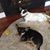 Patricia Boetz's profile image