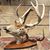 Derrell Dodson's profile image