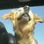 Jesse Jett's profile image