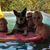 Tony Southwell's profile image