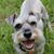 Lynda Bernt's profile image