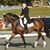 Jeanne Davis's profile image