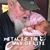 Scott Swanstrom's profile image