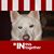 Donnie Graves's profile image
