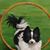 Barbara Ann Hasko's profile image
