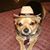 Jeff Welch's profile image