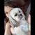 Hollie Whitley's profile image