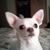 Paulette Czerwin's profile image