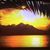 Irene H Rivera's profile image