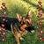Cindy Fowler's profile image