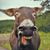 Kristie Marcum's profile image