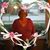 Jennie Whiddon Krzystof's profile image