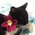 Bacon Lee Harvey's profile image