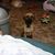 Debbie Sabadin's profile image
