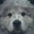 Tim Melchiors's profile image