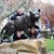 Jeff Gooderham's profile image