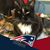 Margaret Waluk Paolo's profile image