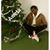 Awet Teklsnbet's profile image