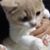 Angelina Zhu's profile image