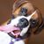 Karen Johnston's profile image
