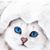 Kimberly Mack's profile image
