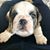 Kimberley Clark's profile image