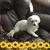 Lori Mayer's profile image