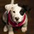 Maria A Ramirez-Williams's profile image