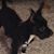 Linda Reed Hastidt's profile image