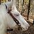 Debbie Kendrick's profile image