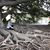 Aparna B.'s profile image