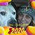 Beth Tasca-Fellows's profile image